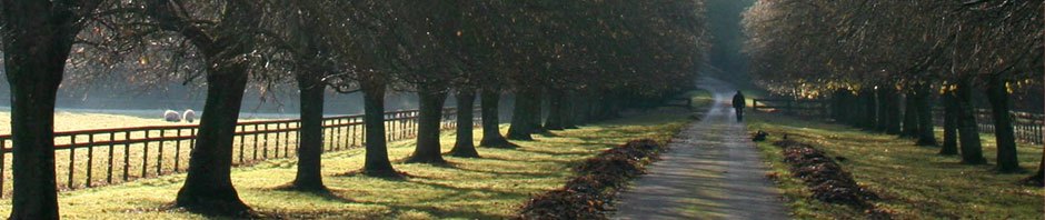 Weatherstones House Care Ltd.